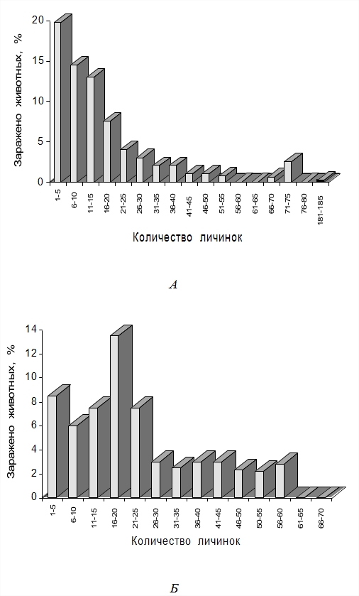 Распределение частот паразитов у инвазированных особей популяции хозяина (Республика Алтай, Кош-Агачский район)